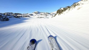 Oddíl sjezdového lyžování